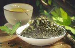 翠苑春蒲团，绿茶香瑶琴  以绿茶的名字为灵感的30字新标题