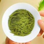 毛尖是否属于绿茶？