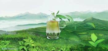 喉咙发炎可否饮用绿茶？