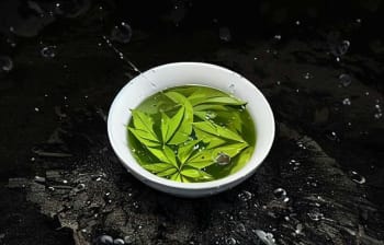 红枣与绿茶的黄金搭配，健康无限！