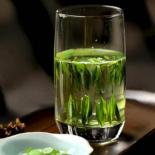 解析绿茶的药性，让你喝出健康之道