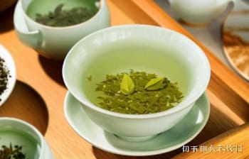 绿茶成分与健康生活的密切关联